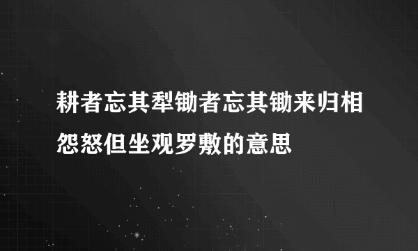 耕者忘其犁锄者忘其锄来归相怨怒但坐观罗敷的意思