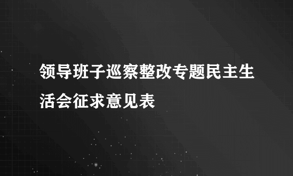 领导班子巡察整改专题民主生活会征求意见表