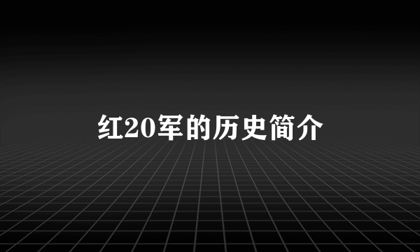 红20军的历史简介