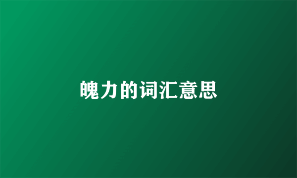 魄力的词汇意思