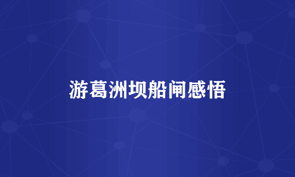 游葛洲坝船闸感悟