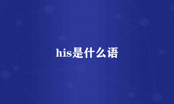 his是什么语