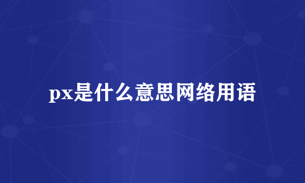 px是什么意思网络用语