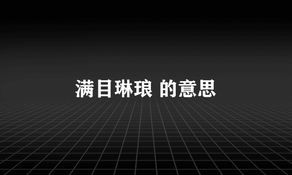 满目琳琅 的意思