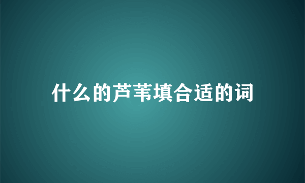 什么的芦苇填合适的词
