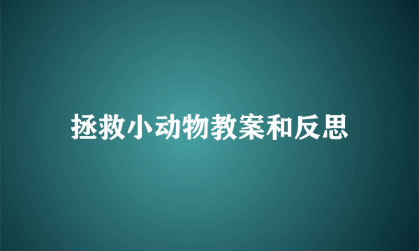 拯救小动物教案和反思