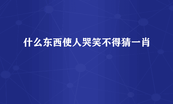 什么东西使人哭笑不得猜一肖