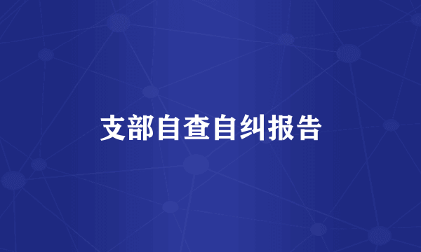 支部自查自纠报告