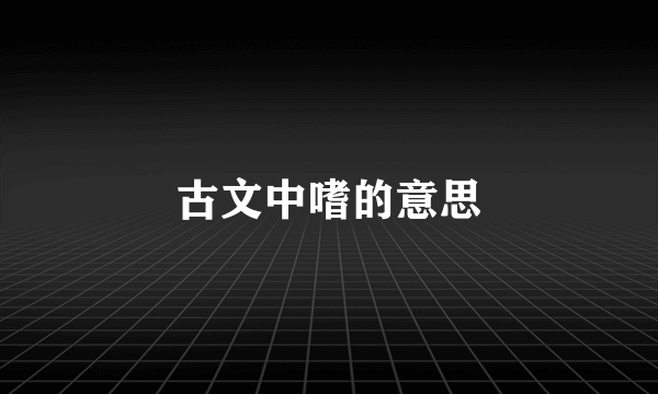 古文中嗜的意思