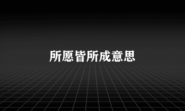 所愿皆所成意思