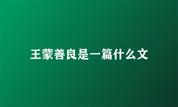 王蒙善良是一篇什么文