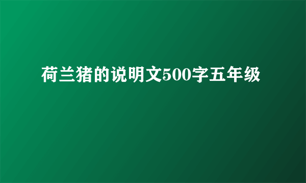 荷兰猪的说明文500字五年级
