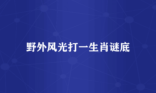 野外风光打一生肖谜底