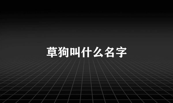草狗叫什么名字
