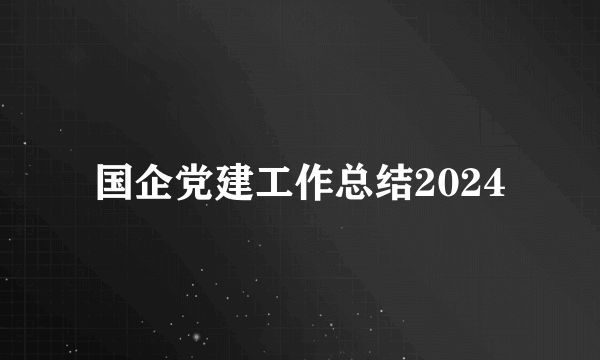 国企党建工作总结2024