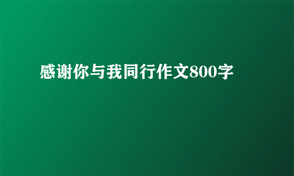 感谢你与我同行作文800字