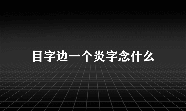 目字边一个炎字念什么