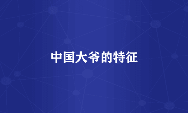 中国大爷的特征