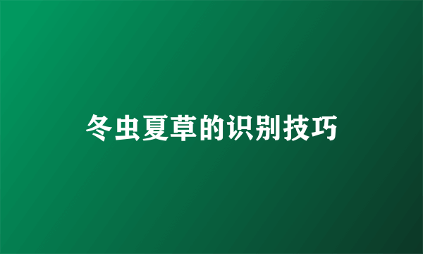 冬虫夏草的识别技巧