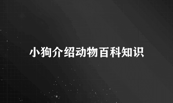 小狗介绍动物百科知识