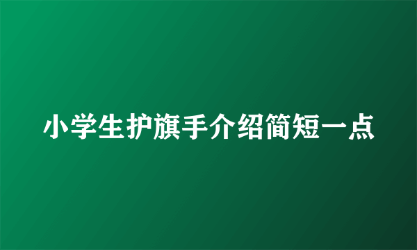 小学生护旗手介绍简短一点