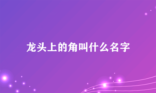 龙头上的角叫什么名字