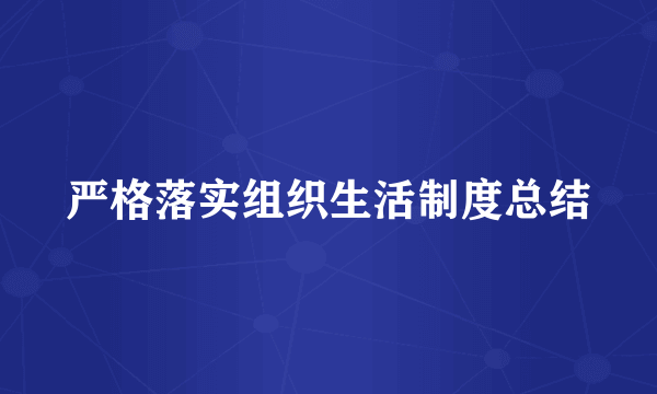严格落实组织生活制度总结