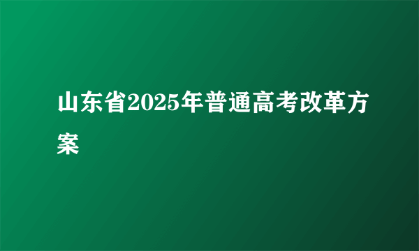 山东省2025年普通高考改革方案