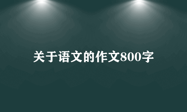 关于语文的作文800字