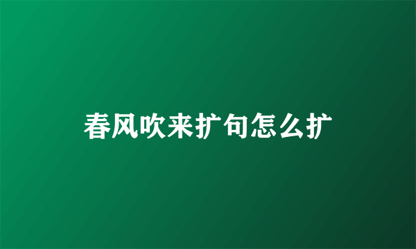 春风吹来扩句怎么扩