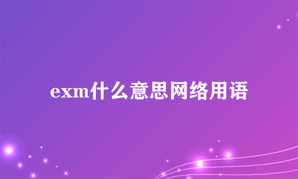 exm什么意思网络用语