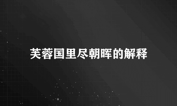 芙蓉国里尽朝晖的解释
