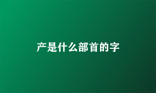产是什么部首的字