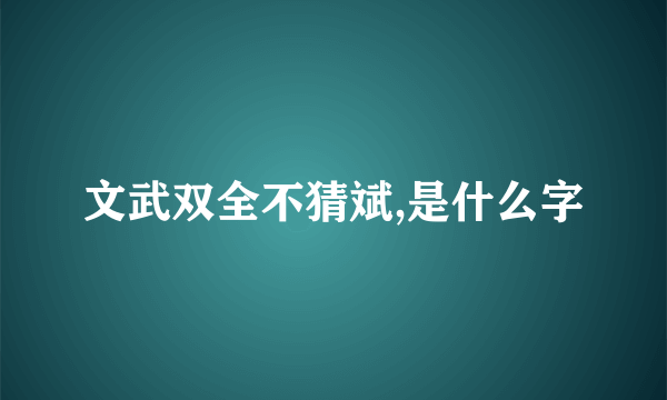 文武双全不猜斌,是什么字