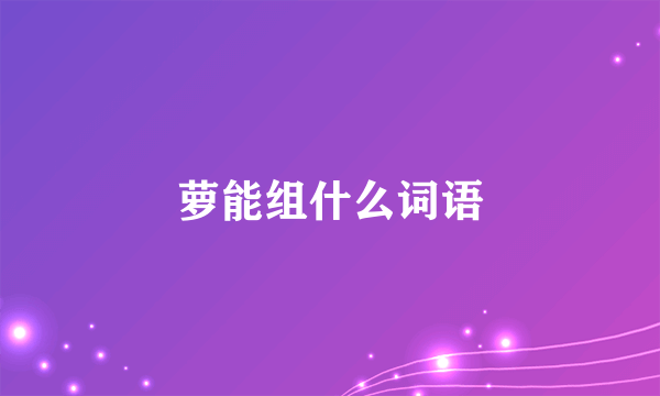 萝能组什么词语