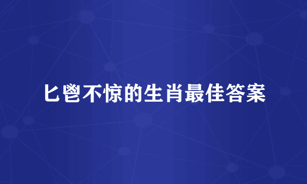 匕鬯不惊的生肖最佳答案