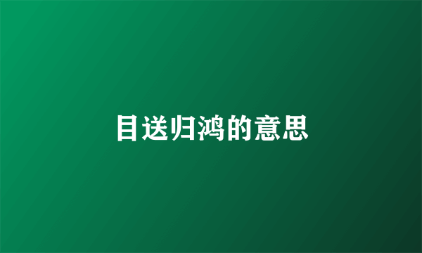 目送归鸿的意思