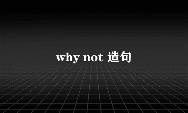 why not 造句