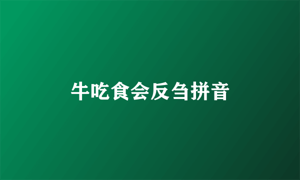 牛吃食会反刍拼音