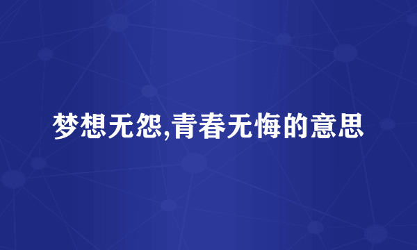 梦想无怨,青春无悔的意思