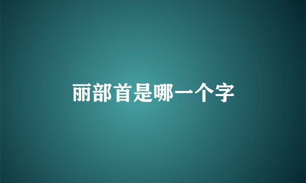 丽部首是哪一个字