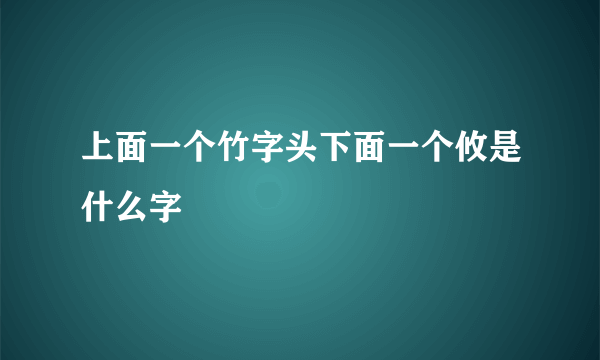 上面一个竹字头下面一个攸是什么字