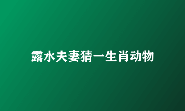 露水夫妻猜一生肖动物
