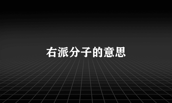 右派分子的意思