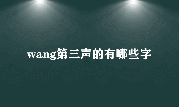 wang第三声的有哪些字