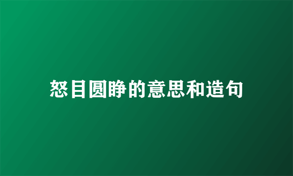 怒目圆睁的意思和造句