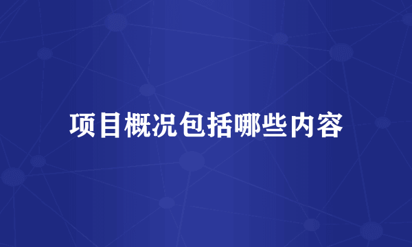 项目概况包括哪些内容