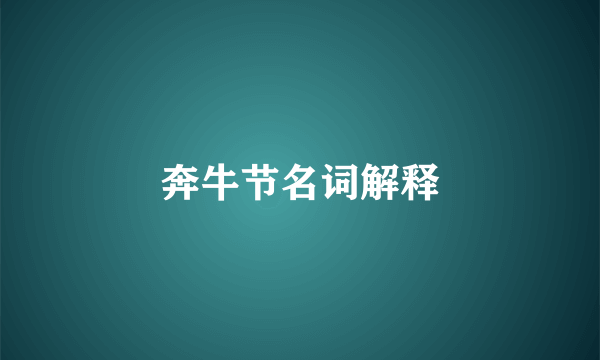 奔牛节名词解释