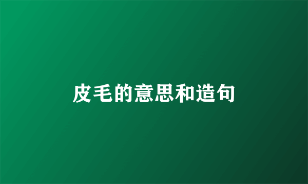 皮毛的意思和造句