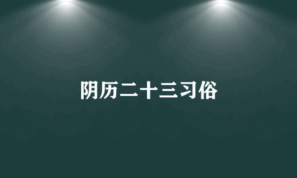 阴历二十三习俗